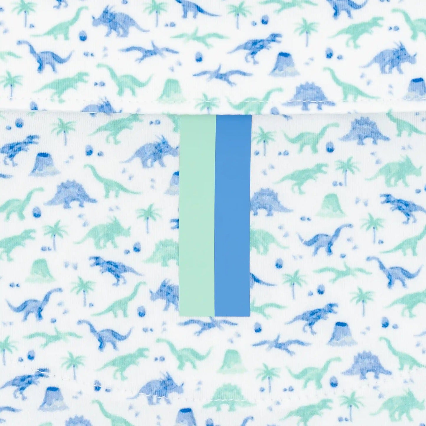The Jurassic