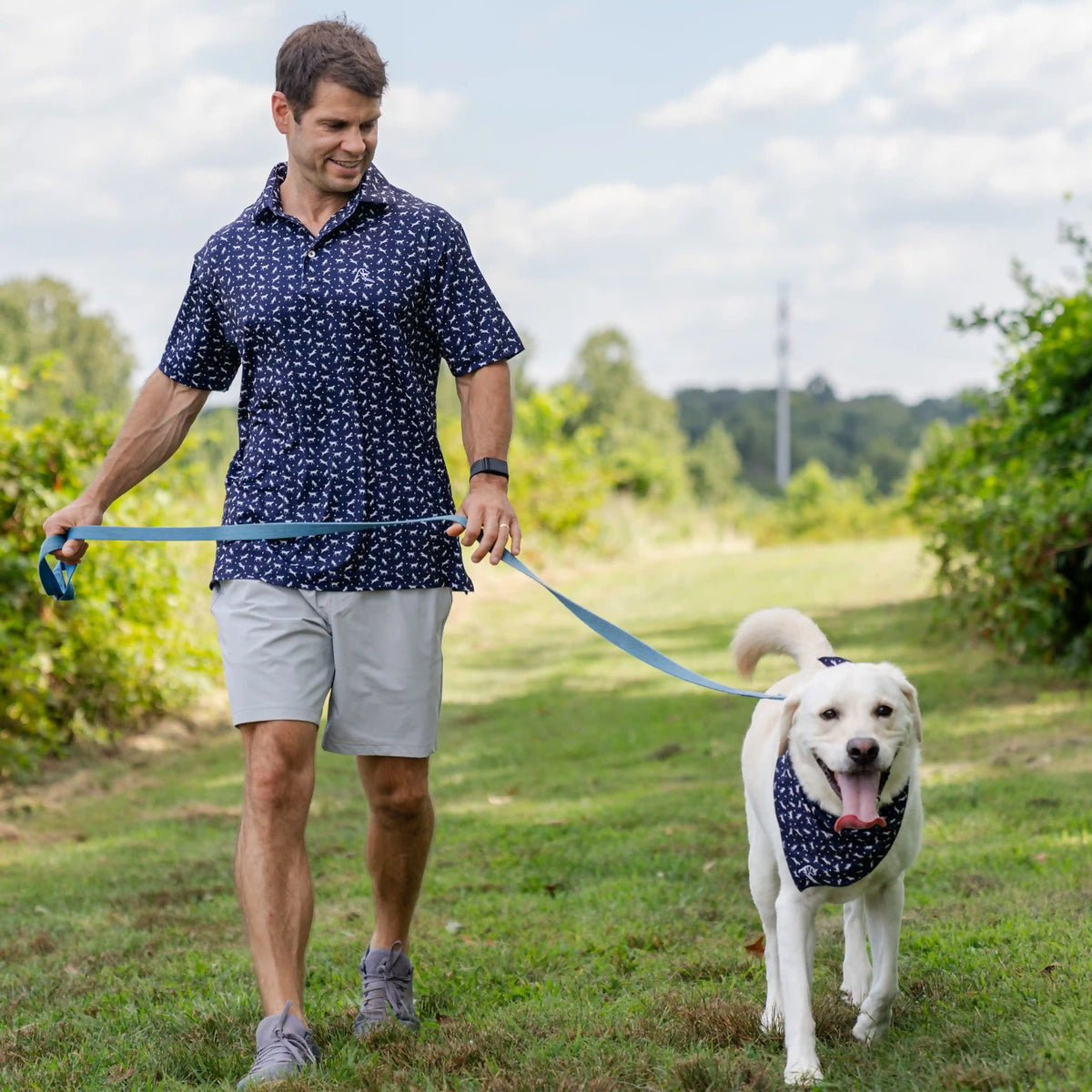 The Yellow Lab