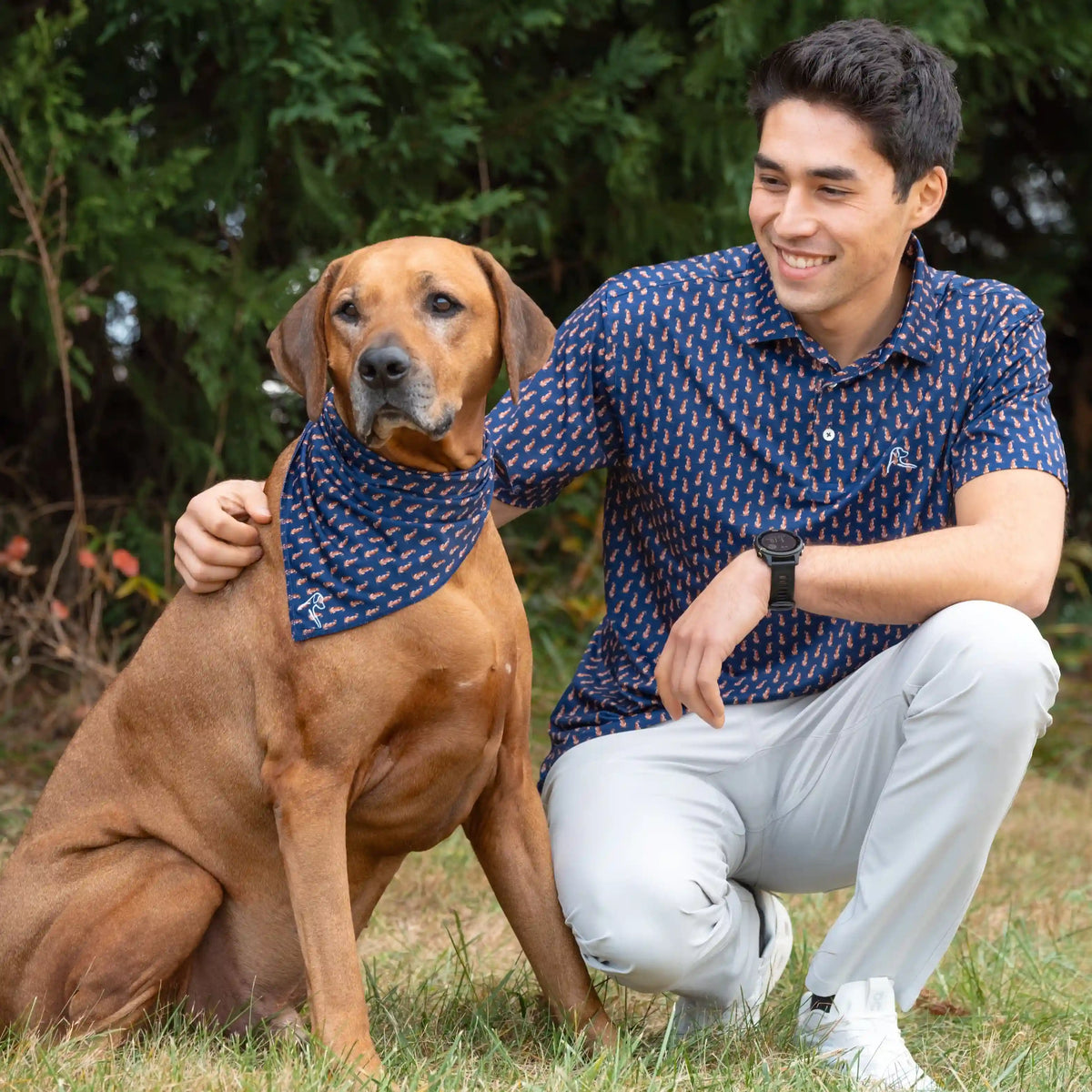 The Ridgeback