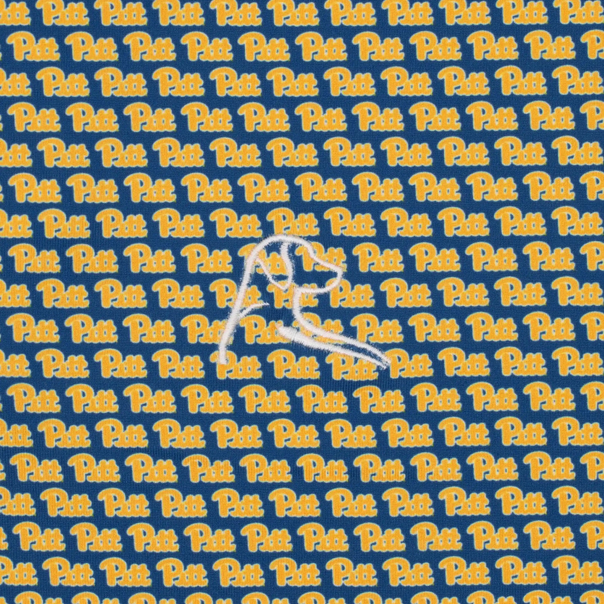 The Pitt Panthers™