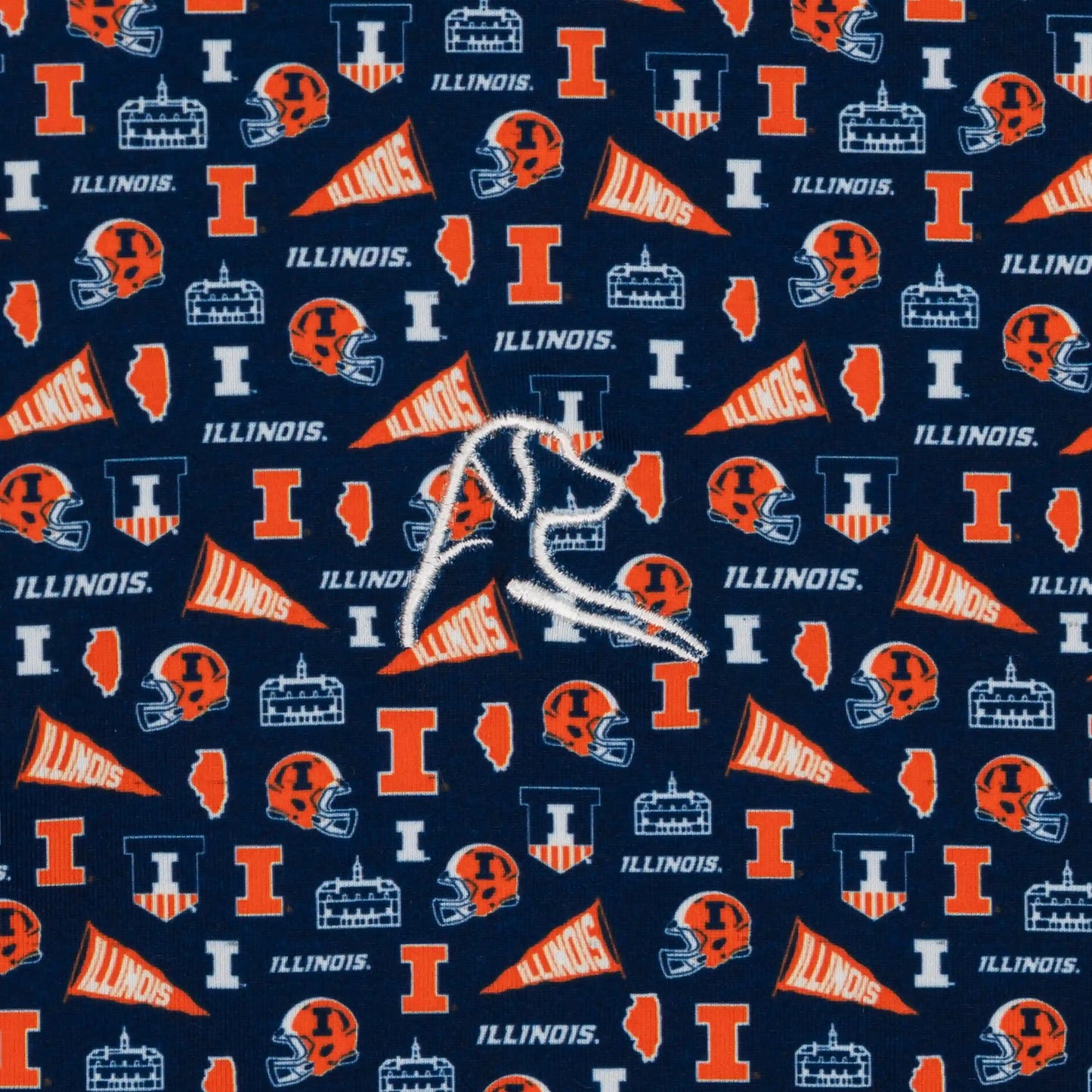 The Illinois Gameday