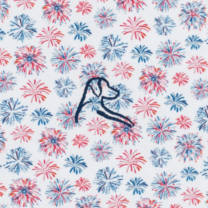 The Firework