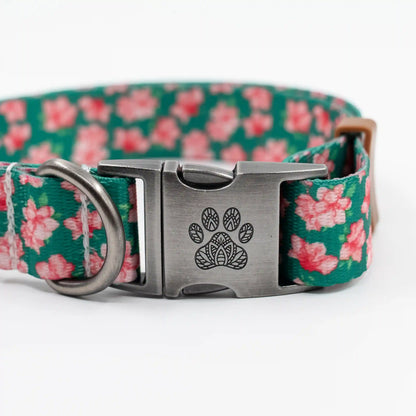 The Azalea Collar