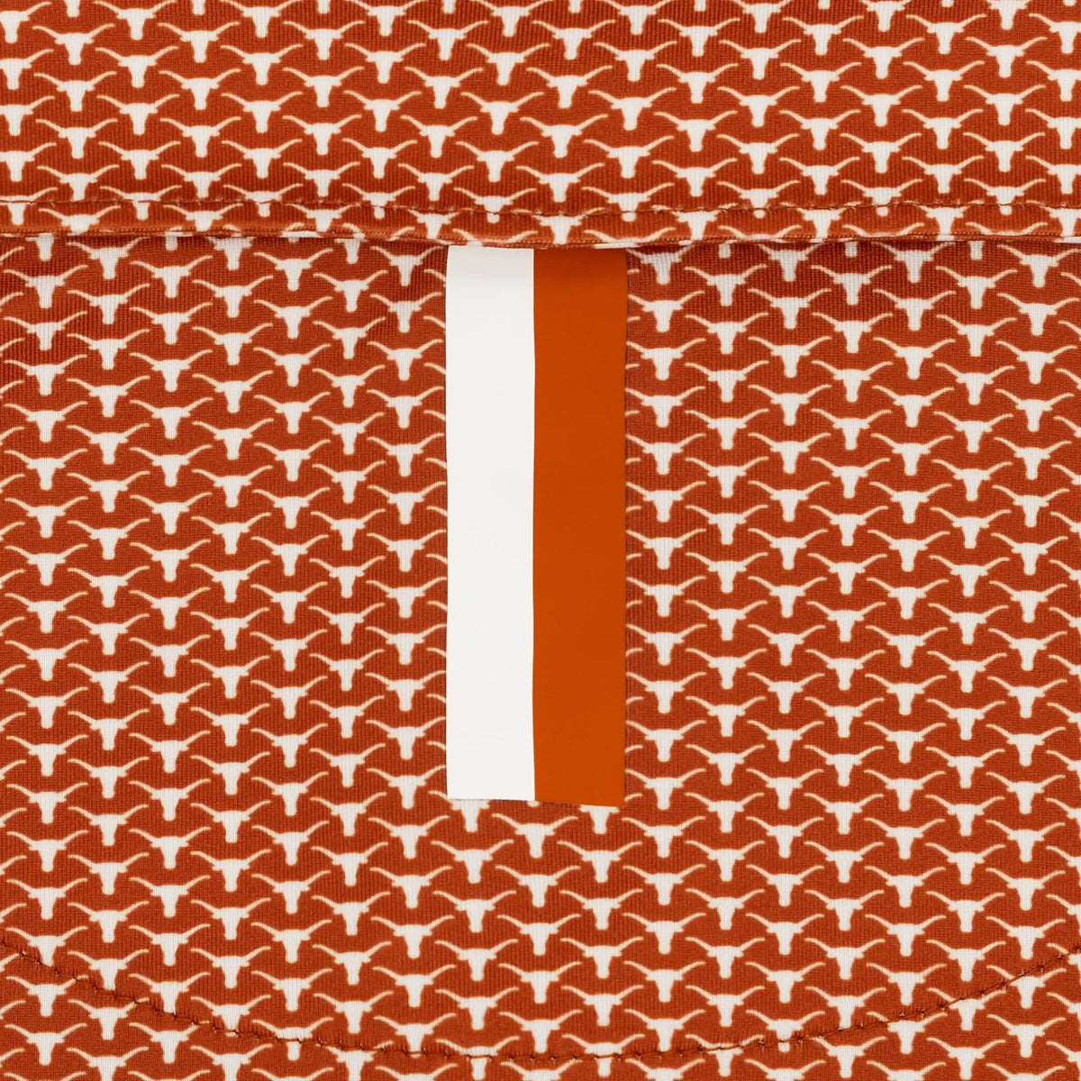 The Texas Horns