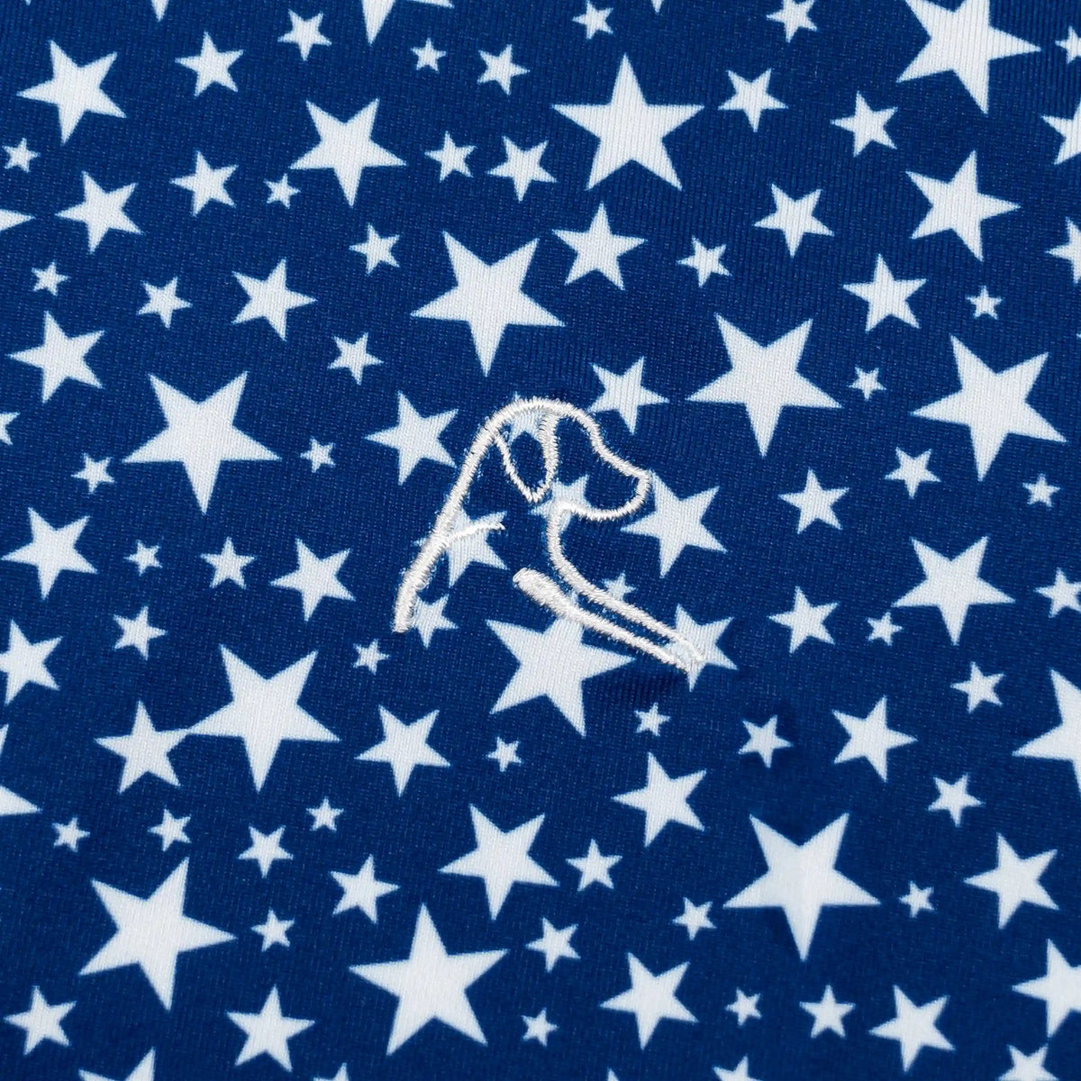 The Lil' Stars