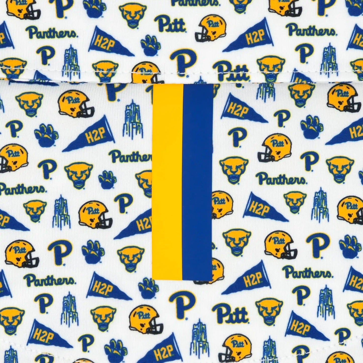 The Pitt Gameday