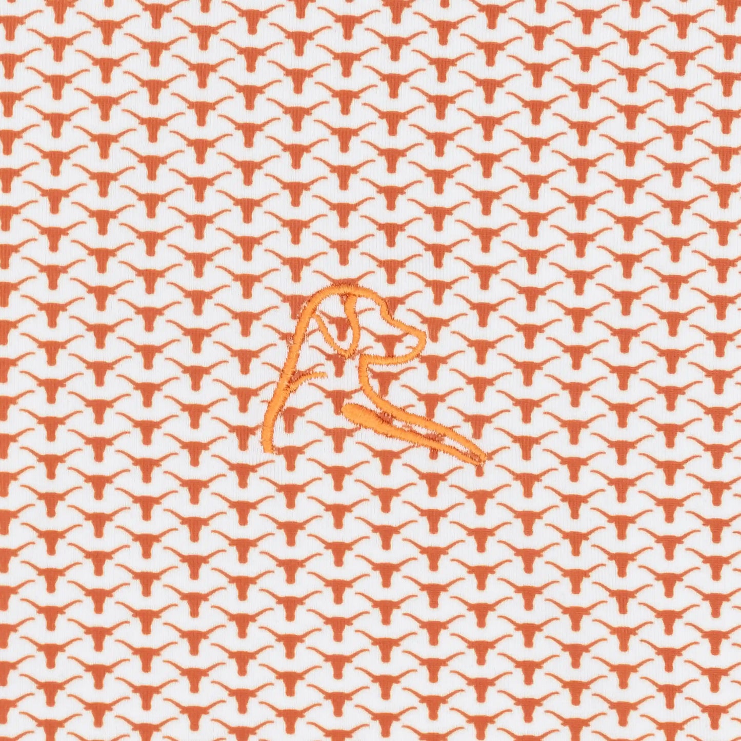 The Texas Horns