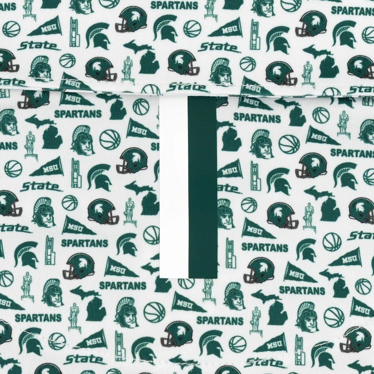 The Michigan State Gameday