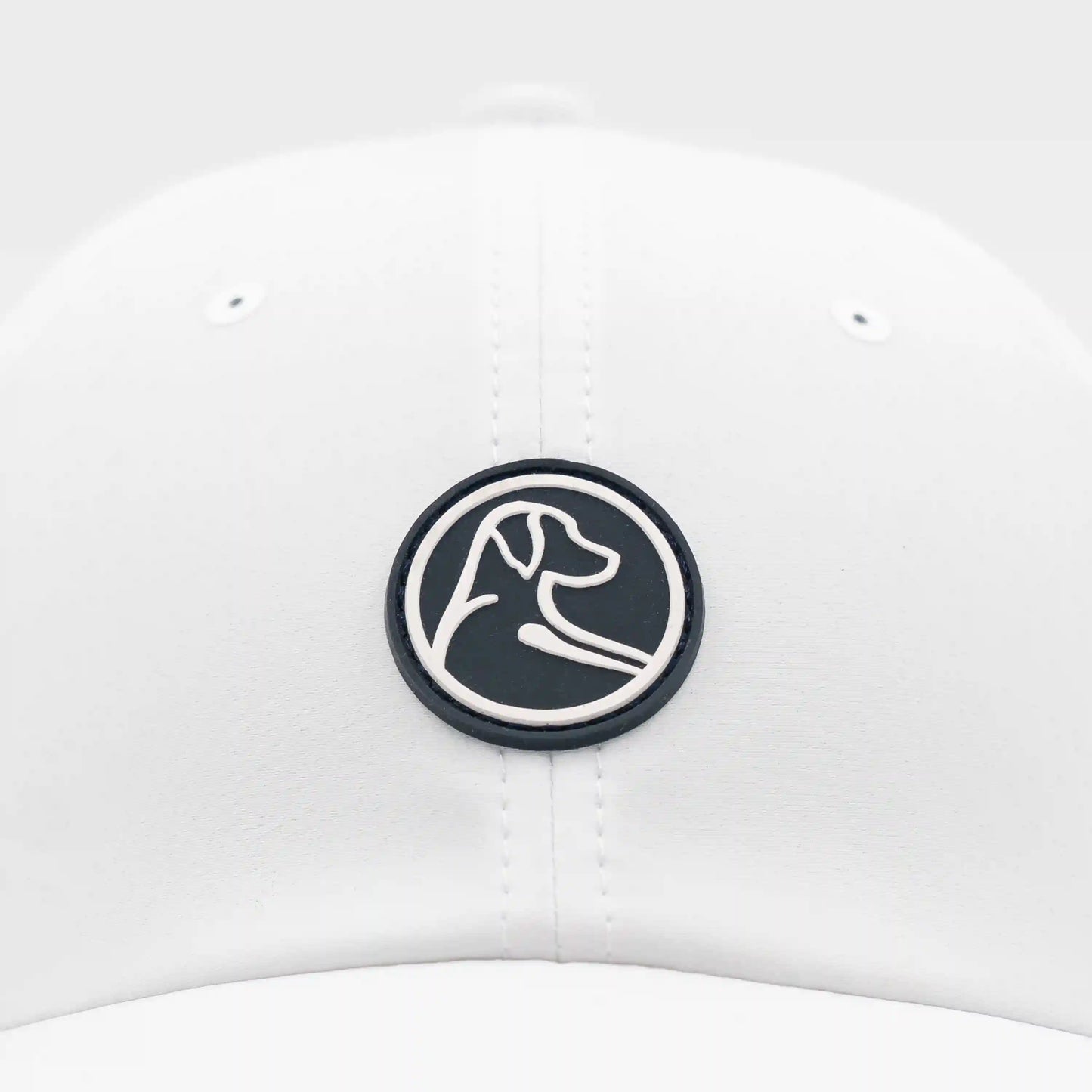 The Circle Dog Activity Hat