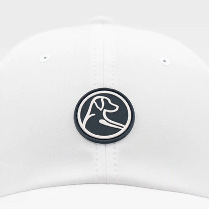 The Circle Dog Activity Hat