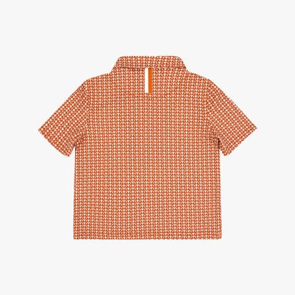 The Lil' Texas Icon
