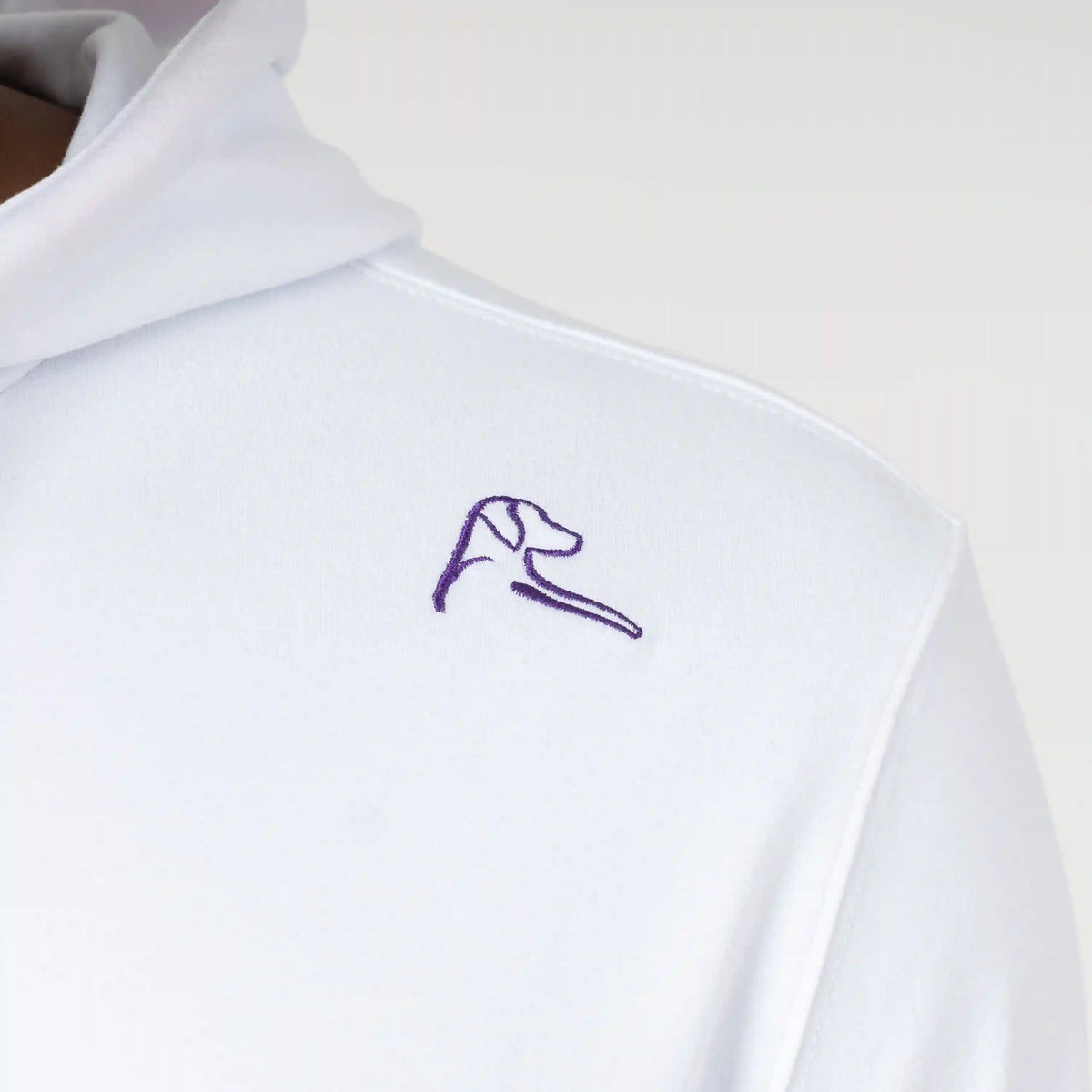Hesi Collegiate Hoodie - Clemson