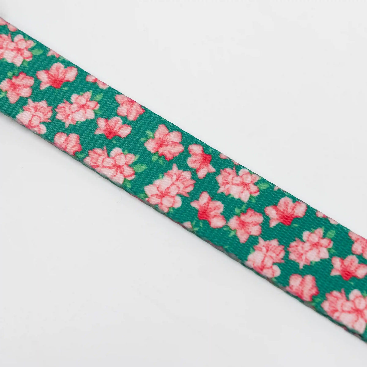 The Azalea Collar