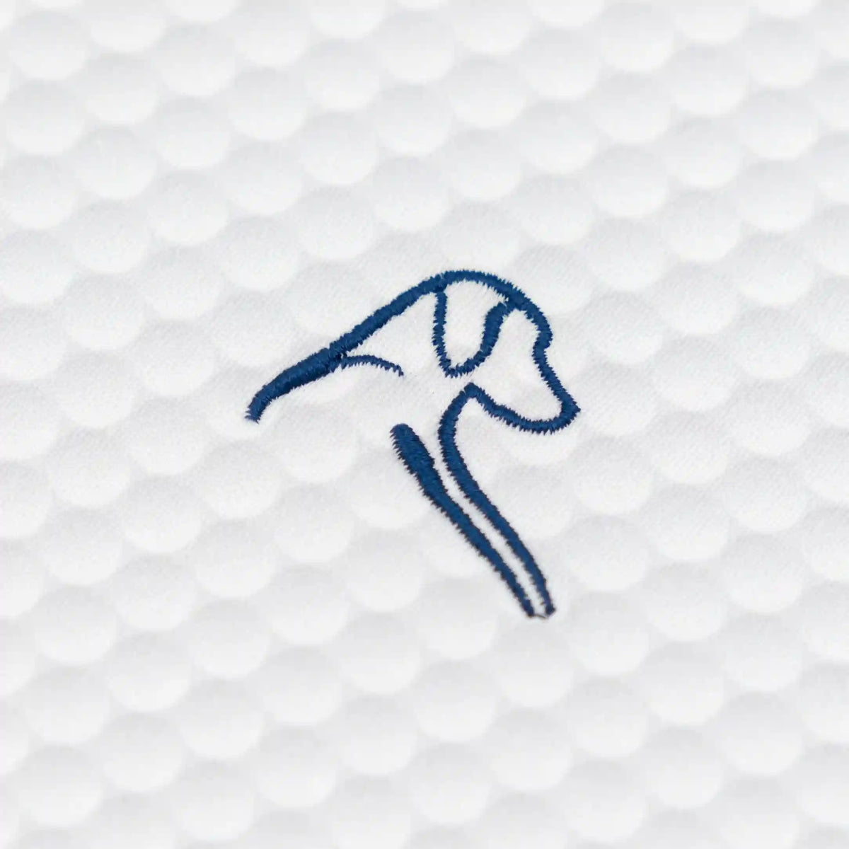 The Be The Ball