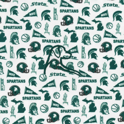 The Michigan State Gameday