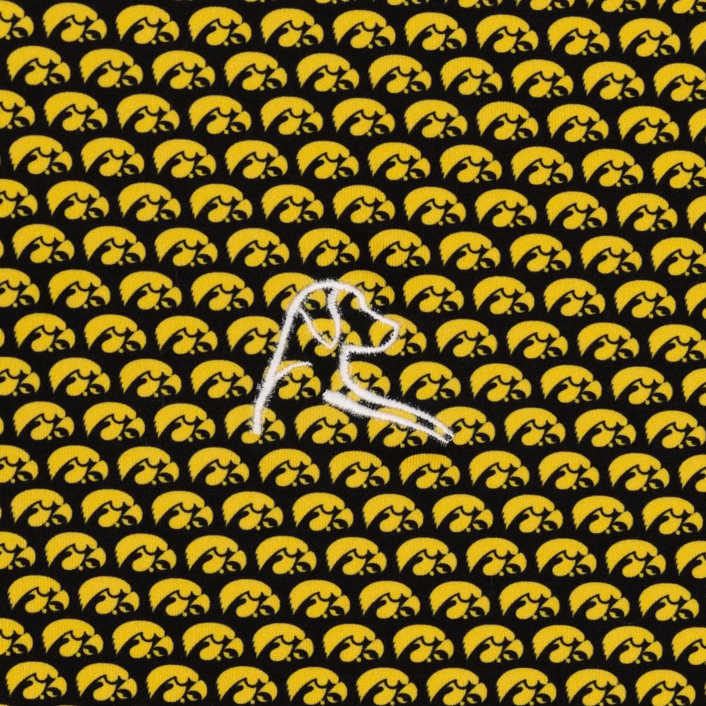 The Iowa Hawkeyes®