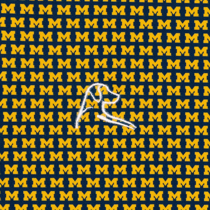 The Lil' Michigan Wolverines™