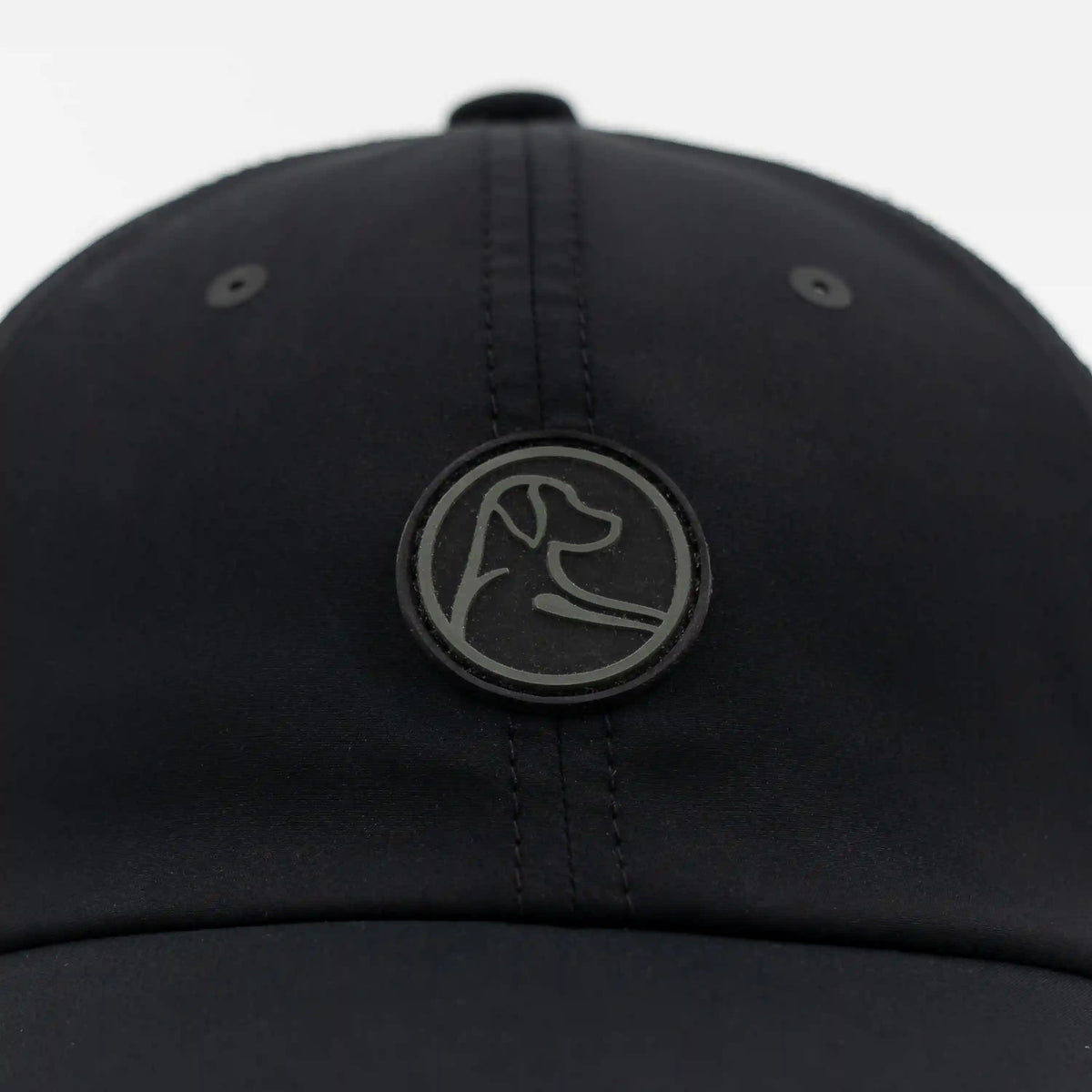 The Circle Dog Activity Hat